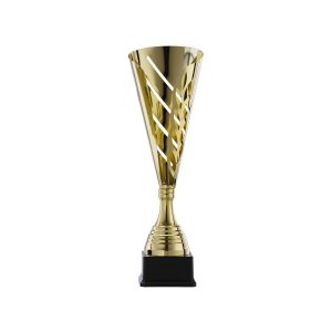 Wereldvenster Vertolking troon Beker Kopen - Bekers en Sportprijzen bestellen| Trofee-award